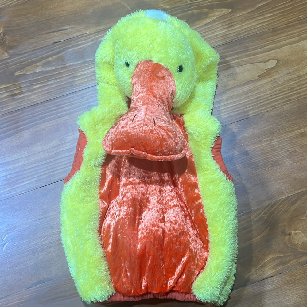 Yellow Duck Costume